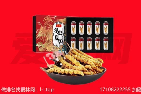 平顶山回收虫草.jpg